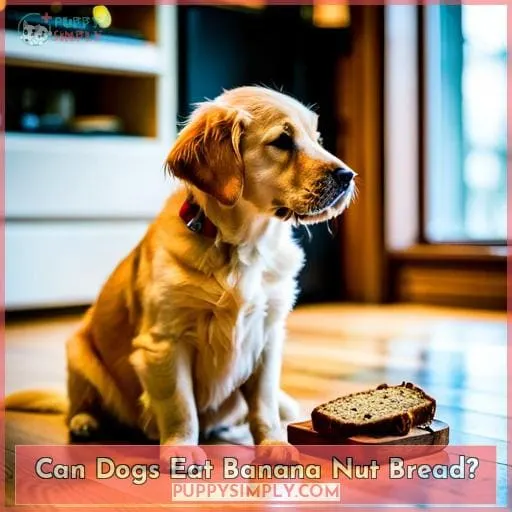 Can Dogs Eat Banana Nut Bread?