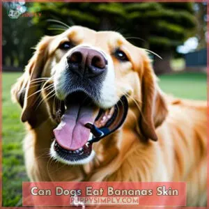 can dogs eat bananas skin