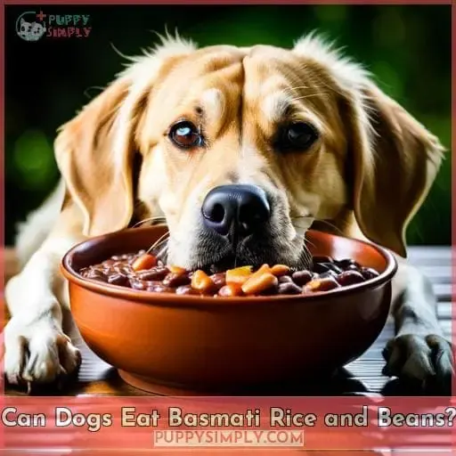Can Dogs Eat Basmati Rice and Beans?