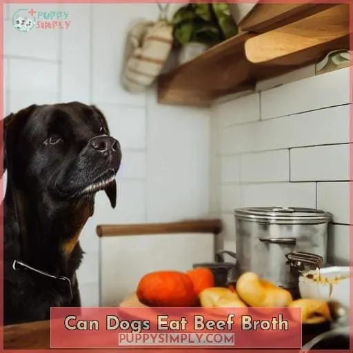 can dogs eat beef broth