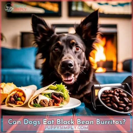 Can Dogs Eat Black Bean Burritos?