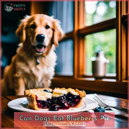can dogs eat blueberry pie