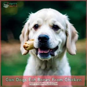 can dogs eat bones from chicken