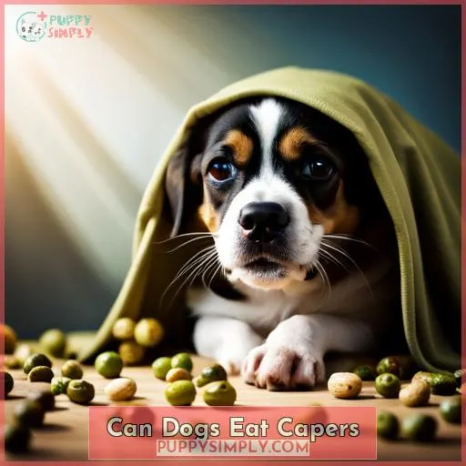 can dogs eat capers