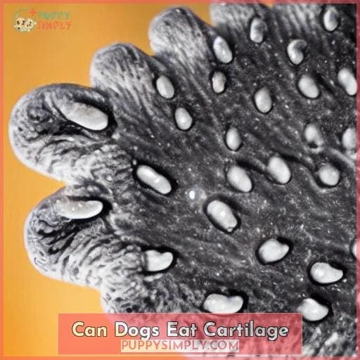 can dogs eat cartilage