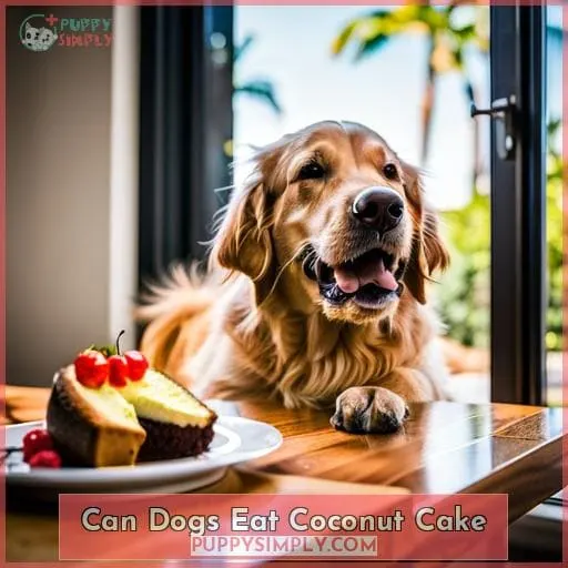 can dogs eat coconut cake