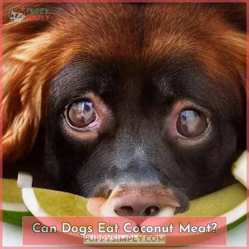 can dogs eat coconut meat
