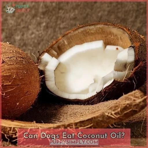 Can Dogs Eat Coconut Oil?