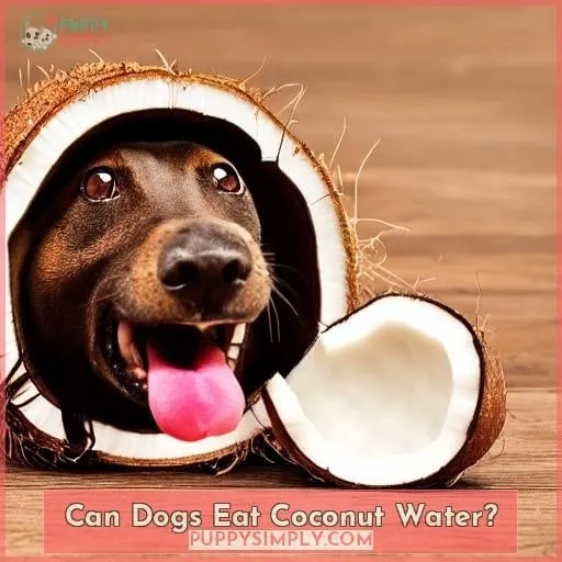 Can Dogs Eat Coconut Water?