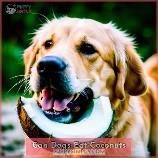 can dogs eat coconuts
