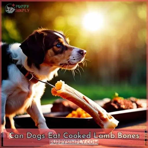 can dogs eat cooked lamb bones