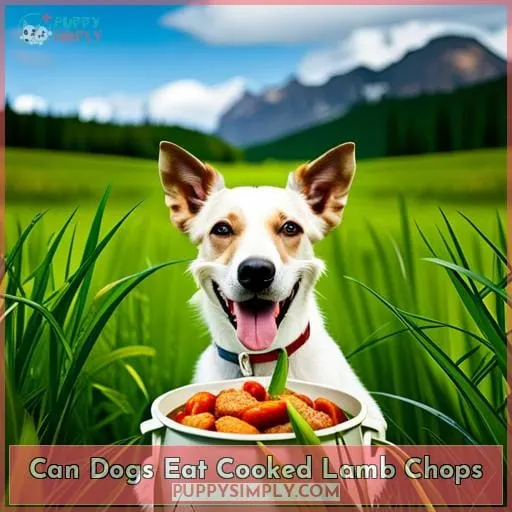 can dogs eat cooked lamb chops