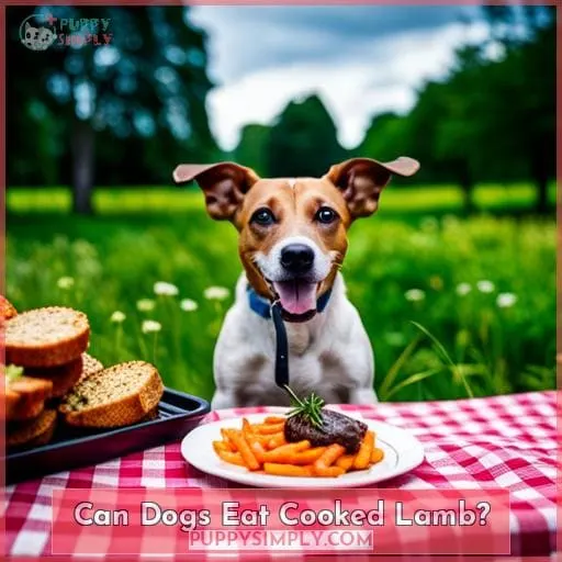 Can Dogs Eat Lamb Risks Guidelines Benefits Explained
