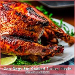 can dogs eat cooked turkey necks