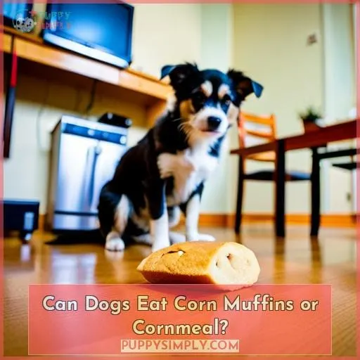 Can Dogs Eat Corn Muffins or Cornmeal?