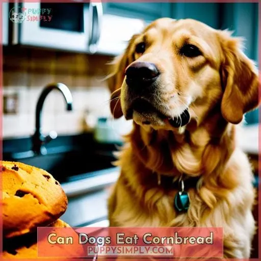 can dogs eat cornbread