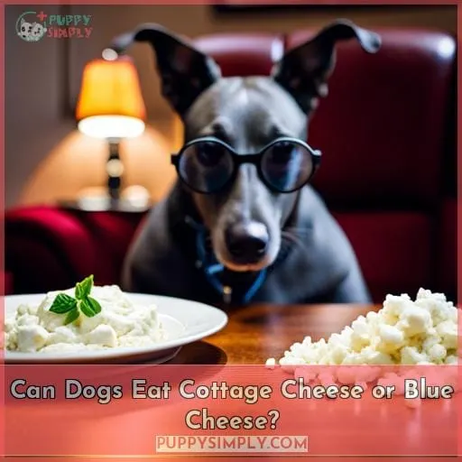Can Dogs Eat Cottage Cheese or Blue Cheese?
