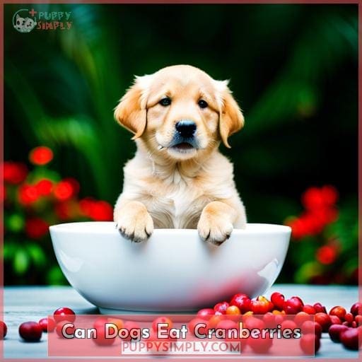 Can Dogs Eat Cranberries Safely? Find Out Here!