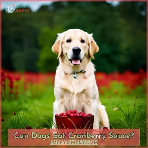 Can Dogs Eat Cranberry Sauce?