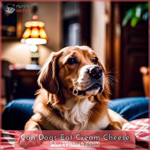 Can Dogs Have Cream Cheese? Benefits & Risks for Fido in 2023