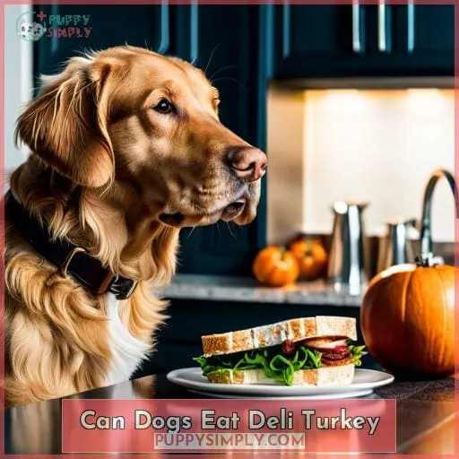 Can Dogs Eat Deli Turkey?