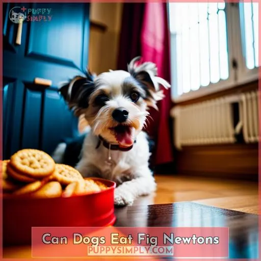 can dogs eat fig newtons