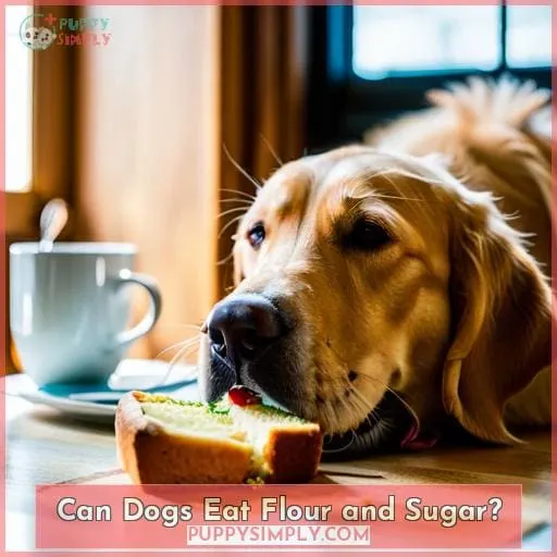 Can Dogs Eat Flour and Sugar?