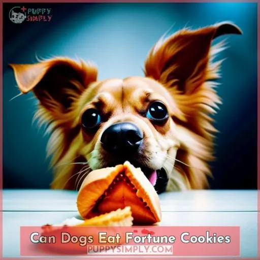 can dogs eat fortune cookies