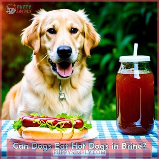 Can Dogs Eat Hot Dogs in Brine?