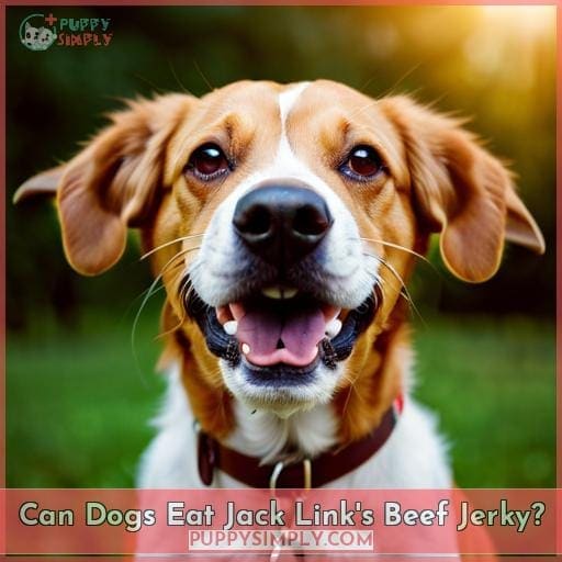 Can Dogs Eat Jack Link's Beef Jerky?