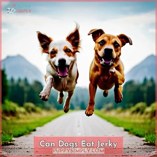 can dogs eat jerky