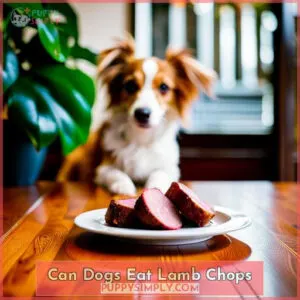 can dogs eat lamb chops