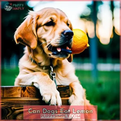 can dogs eat lemon