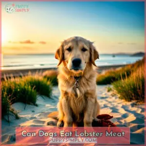 can dogs eat lobster meat