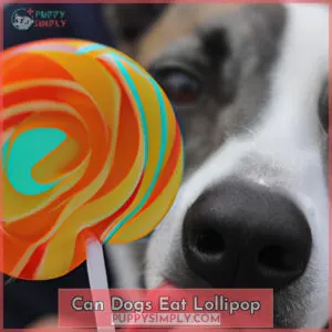 can dogs eat lollipop