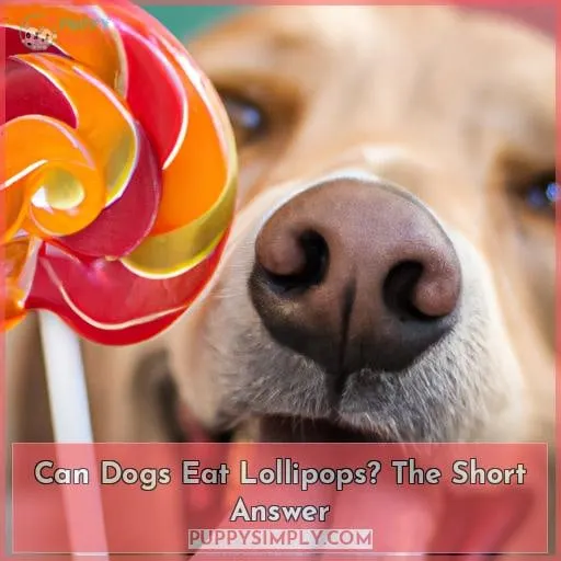 Can Dogs Eat Lollipops? The Short Answer