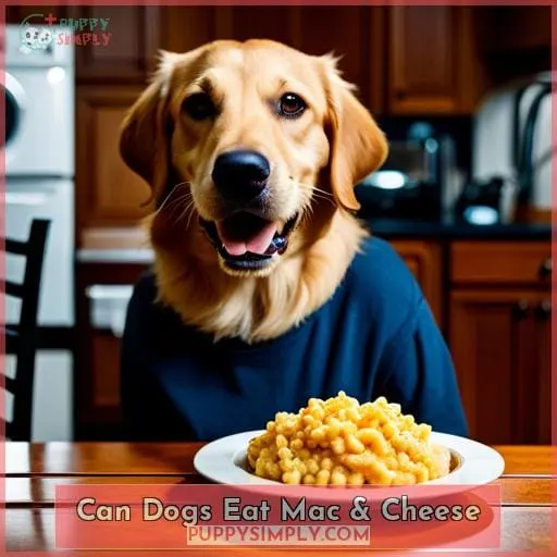 can dogs eat mac & cheese