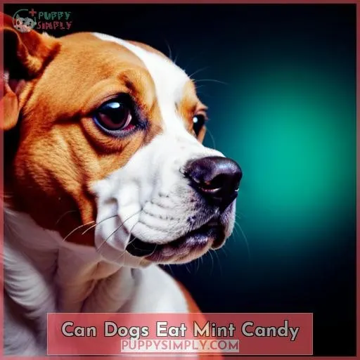 can dogs eat mint candy
