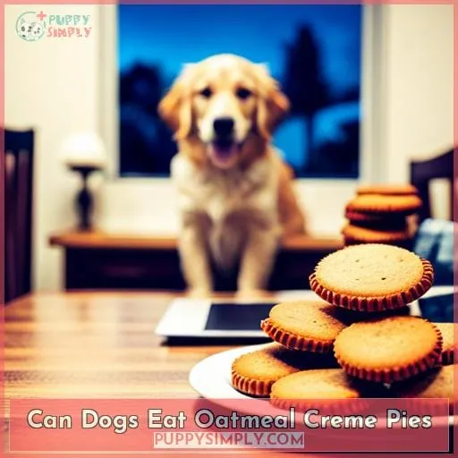 can dogs eat oatmeal creme pies