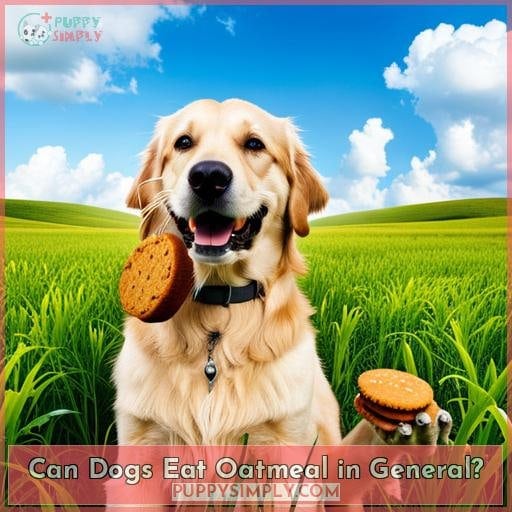 Can Dogs Eat Oatmeal in General?
