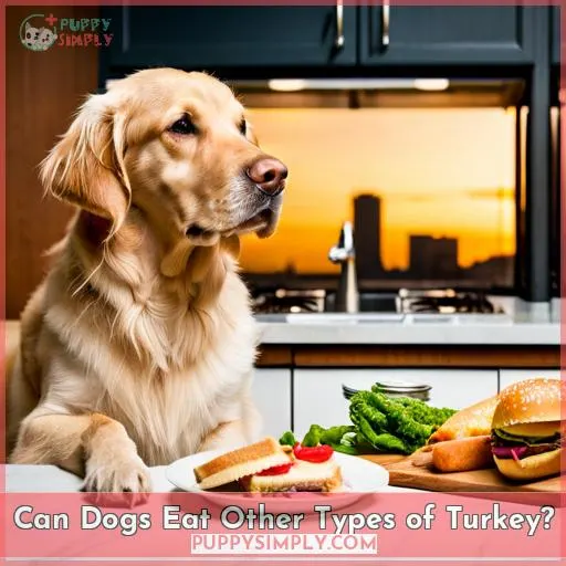 Can Dogs Eat Other Types of Turkey?