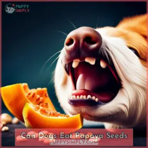 can dogs eat papaya seeds