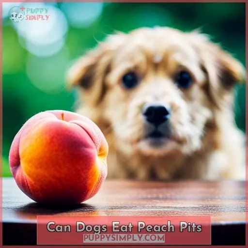 can dogs eat peach pits