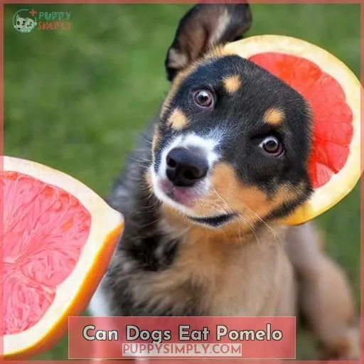 can dogs eat pomelo