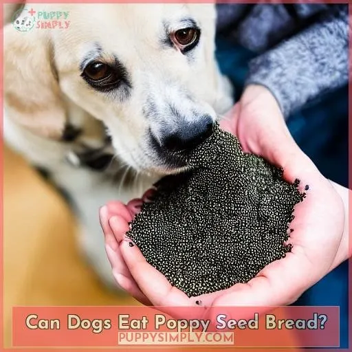 Can Dogs Eat Poppy Seed Bread?