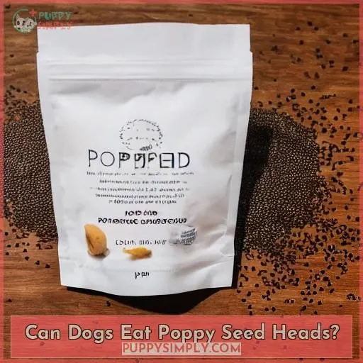 Can Dogs Eat Poppy Seed Heads?