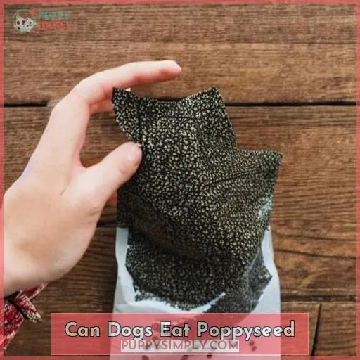 can dogs eat poppyseed