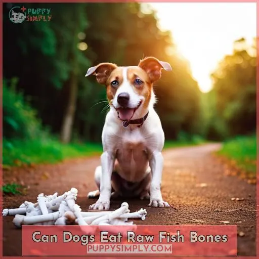 can dogs eat raw fish bones