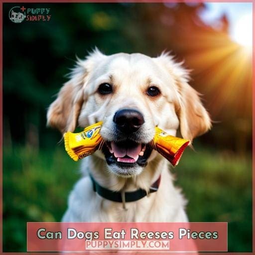 Can Dogs Eat Reese's Pieces? Know the Risks & Benefits!