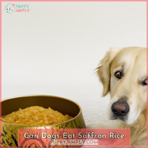 can dogs eat saffron rice